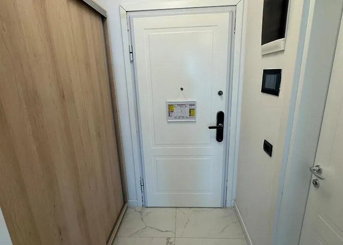 Sea On * 마마이아